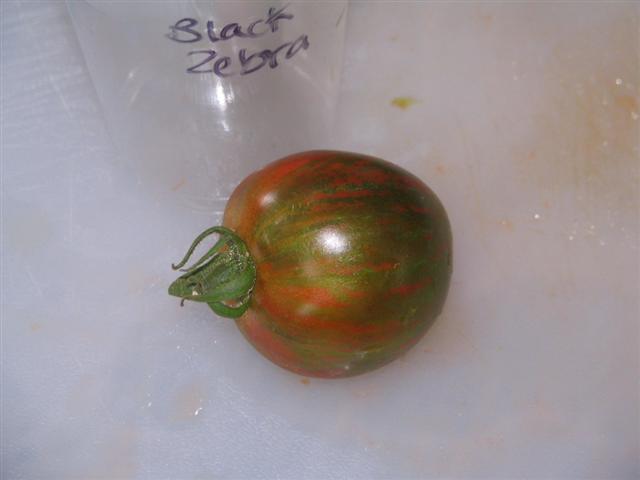 Combo Pack Tomato seeds Rare Heirloom Any mix of 3 Many Variations Giant Zebra 